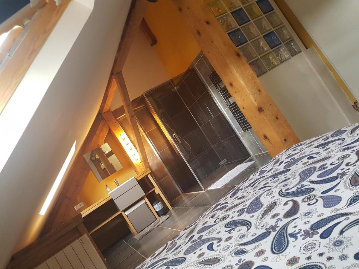 Apartament Loft Dans Les Pyrenees Oloron-Sainte-Marie Zewnętrze zdjęcie