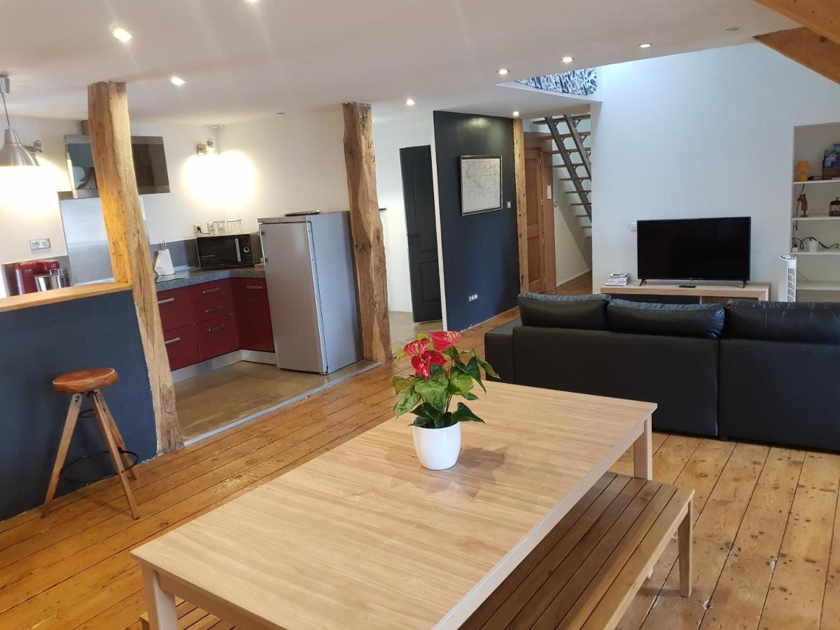 Apartament Loft Dans Les Pyrenees Oloron-Sainte-Marie Zewnętrze zdjęcie