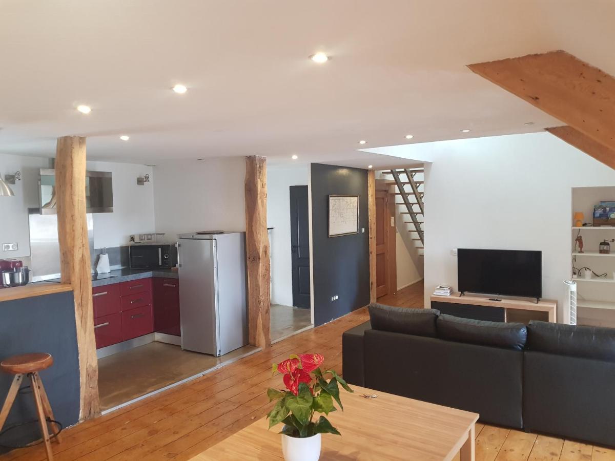 Apartament Loft Dans Les Pyrenees Oloron-Sainte-Marie Zewnętrze zdjęcie